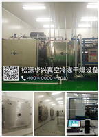 Songyuan Huaxing Freeze Dryer Optional Features