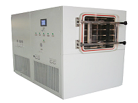Food freeze-drying machine in the process of vegetable carrot freeze-drying