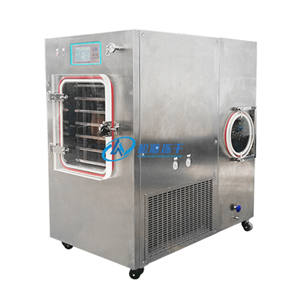 Non-standard customized pilot freeze dryer 