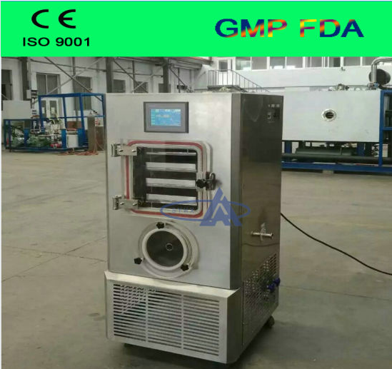 Floor Type Freeze Dryer