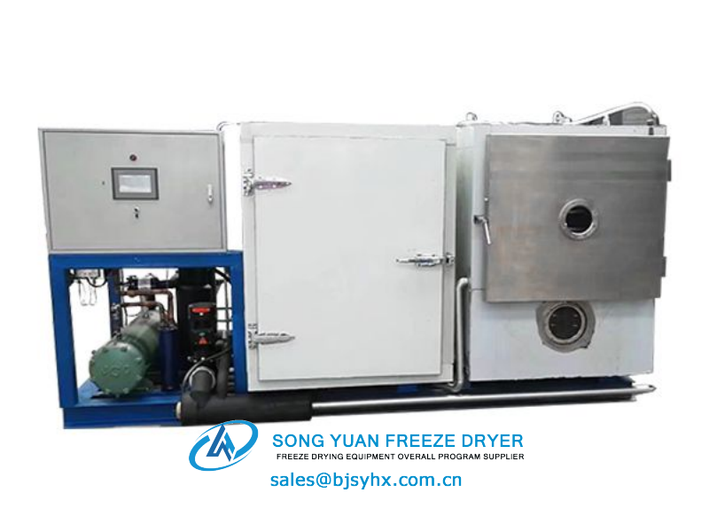 LG-10 Food Type Freeze Dryer