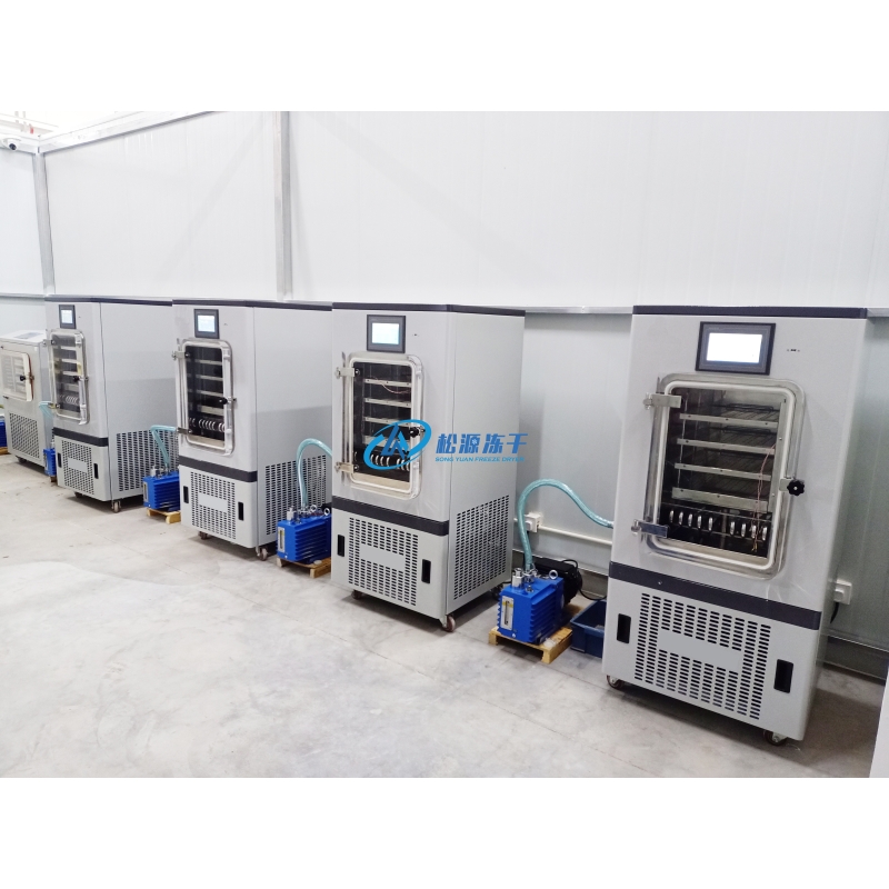 LGJ-30FD (0.4㎡) Electric-Heating Freeze Dryer